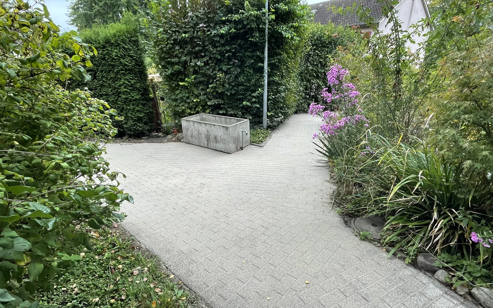 Intensive Reinigung von Pflaster, Beton und Gehwegen